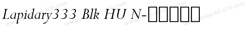 Lapidary333 Blk HU N字体转换